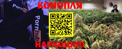 ГАЛЛЮЦИНОГЕННЫЕ ГРИБЫ Новодвинск