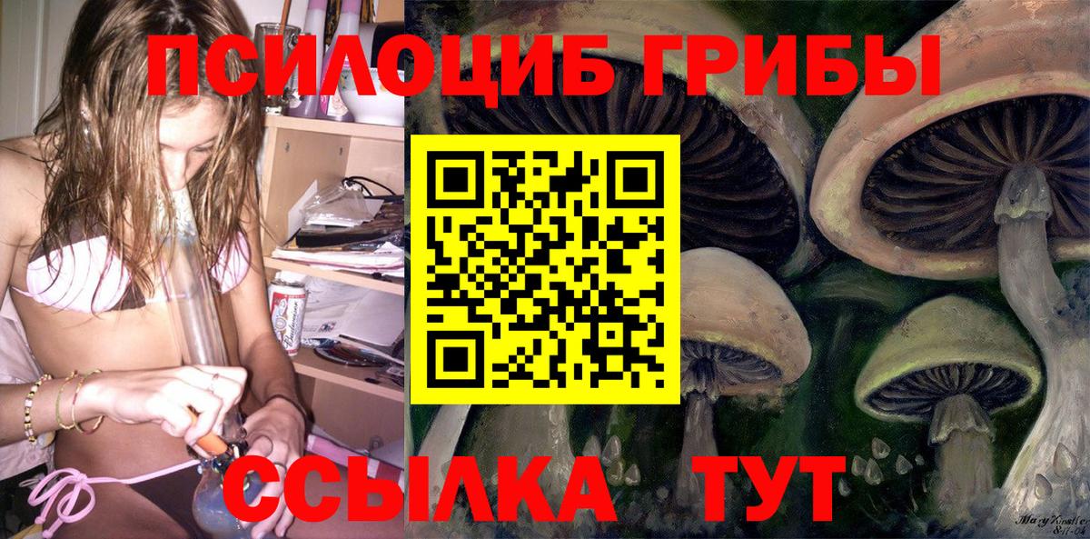 Псилоцибиновые грибы ЛСД Сочи