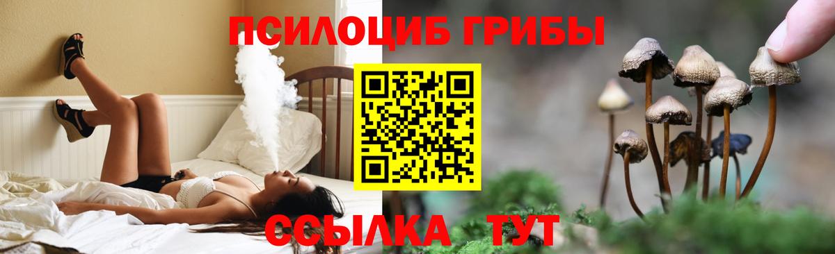 Псилоцибиновые грибы Psilocybe  Вход с VPN  Сочи 